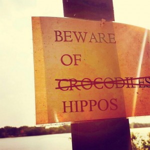 Quick paddle, it’s a hippo - Zambezi Challenge - hippo sign